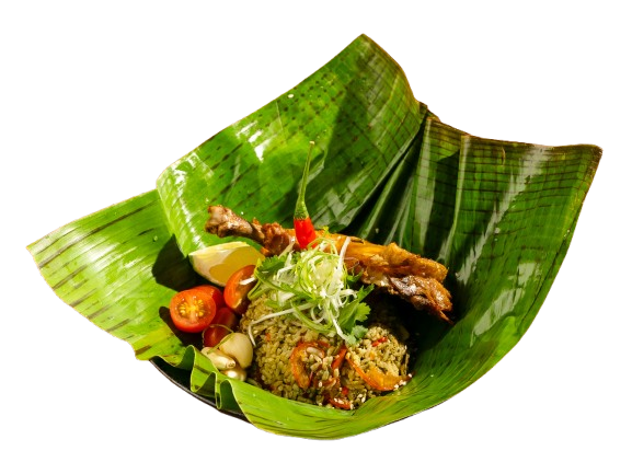 amcn. 23 removebg preview